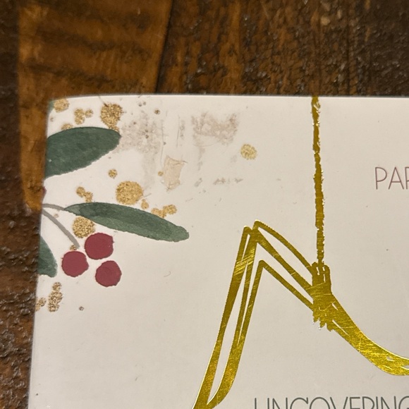 Not Consumed “Uncovering Mercies at the Manger” Bible Studies - Picture 3 of 3